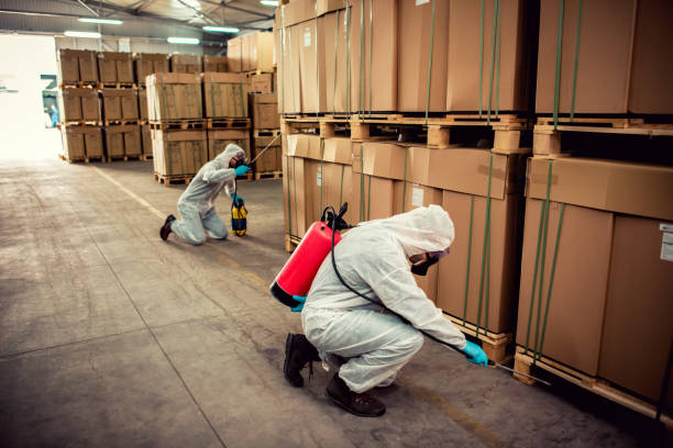 Best Pest Inspection Near Me  in Inver Grove Heights, MN