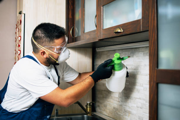 Best Local Pest Control Services  in Inver Grove Heights, MN