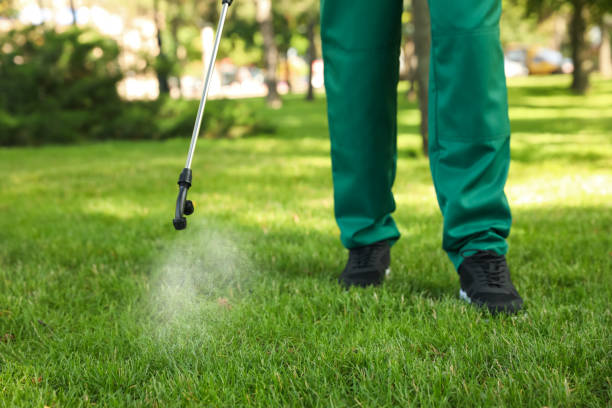 Pest Control for Restaurants in Inver Grove Heights, MN