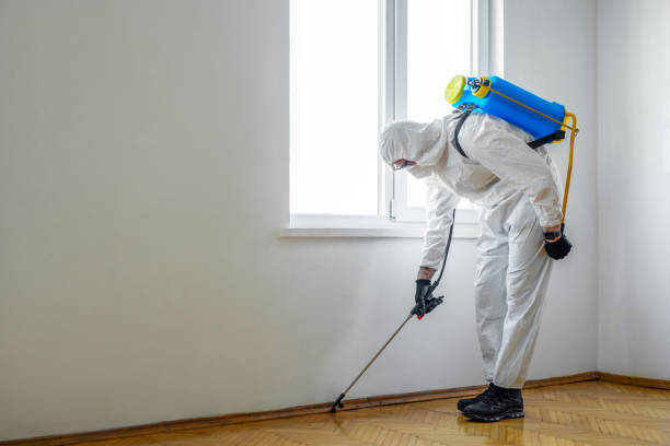 Best Exterminator Services  in Inver Grove Heights, MN