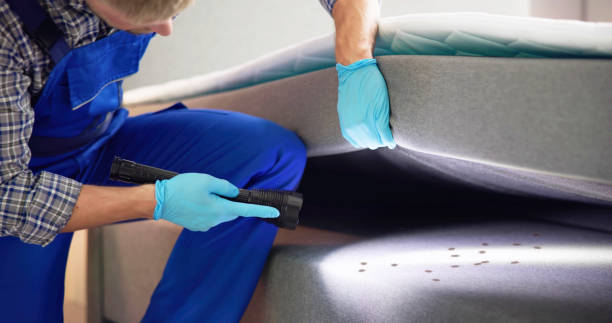 Best Emergency Pest Control  in Inver Grove Heights, MN